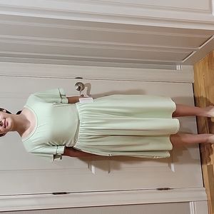 NWT Pastel green swing dress